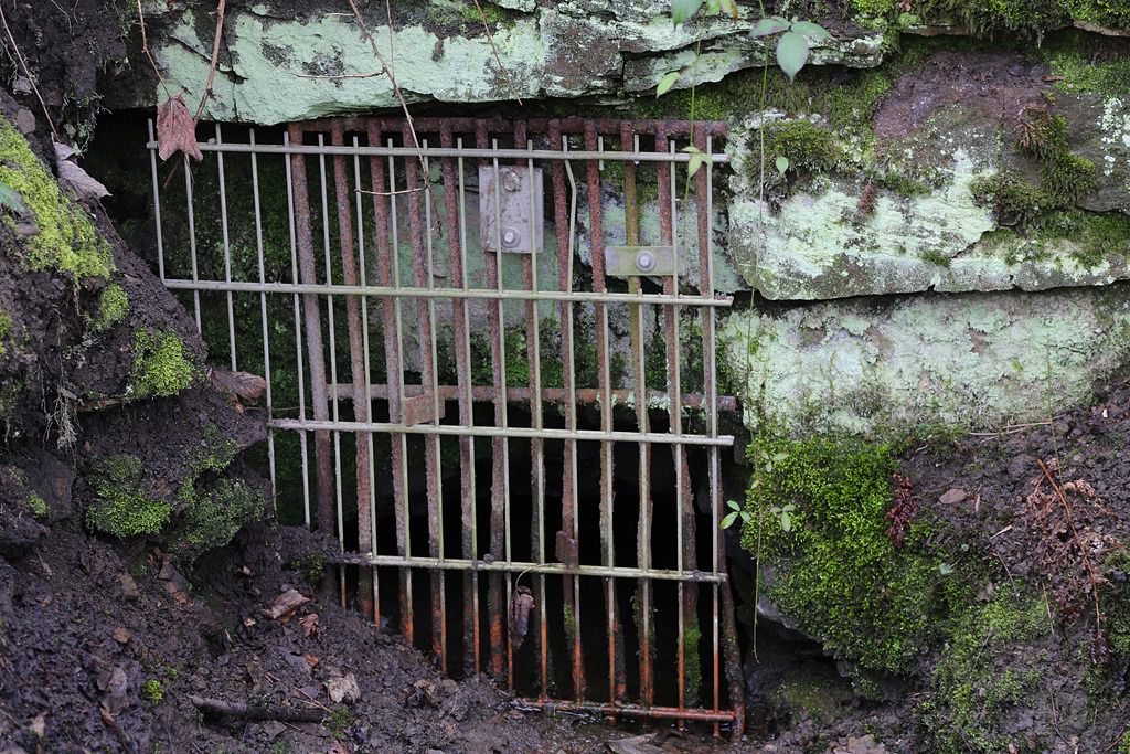 bergbauwanderweg im muttental foto