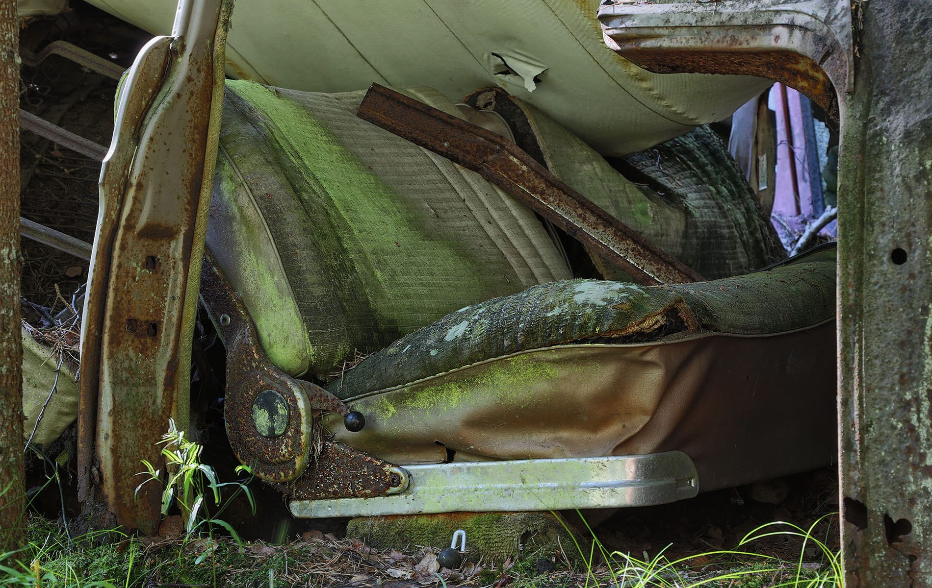 danielssons autofriedhof cars and vehicle graveyards