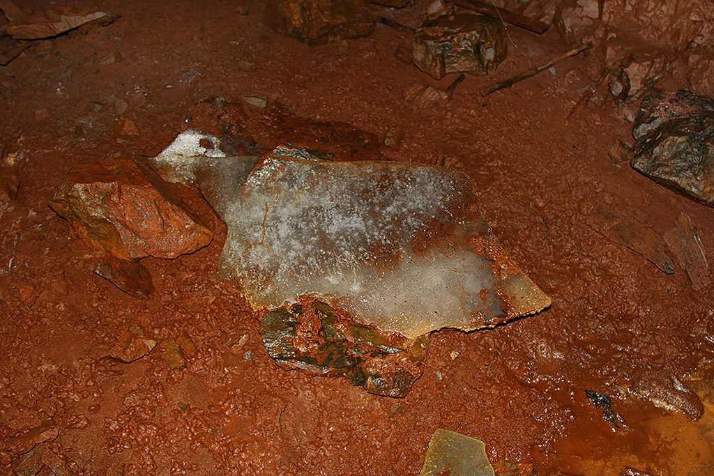 tilas stoll hoegbergsfaeltet