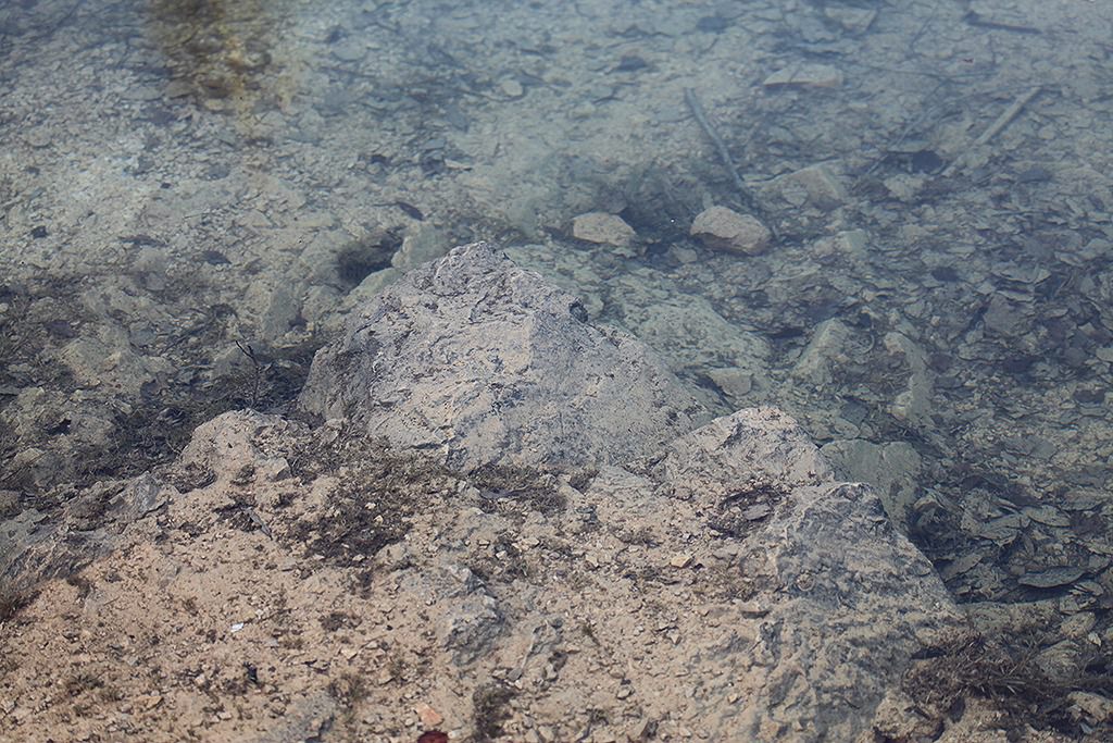 dolomitgrube grube cox in bergisch gladbach 19