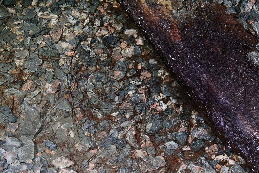 lekombergs gruva i bergslagen