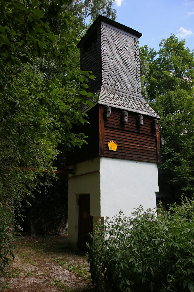 u verlagerung gurami