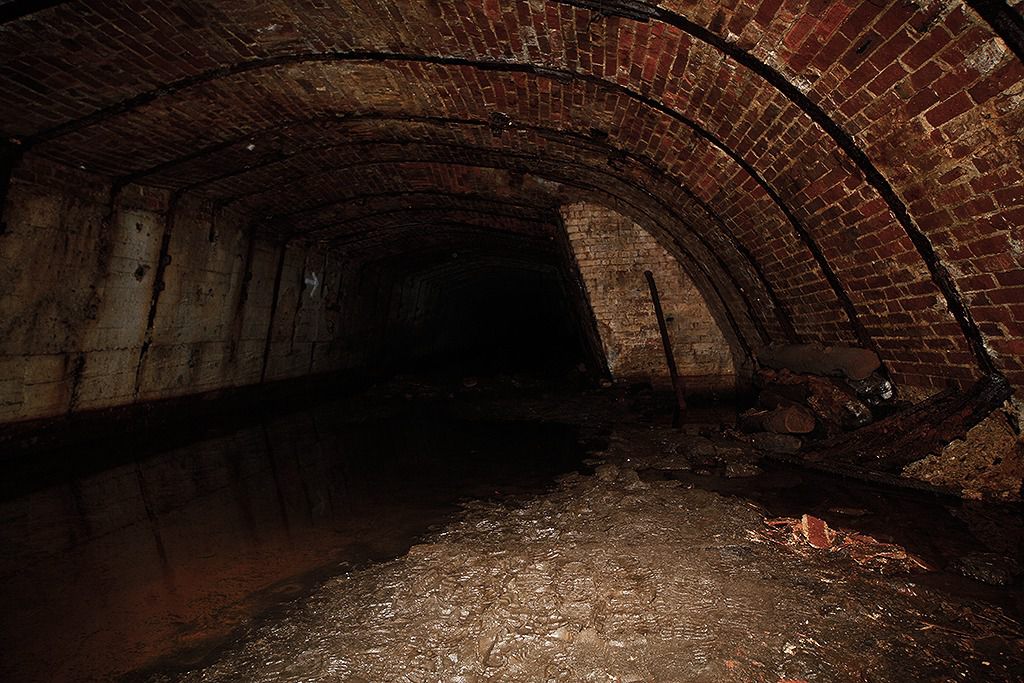 u verlagerung kroete bild u verlagerung kroete bild