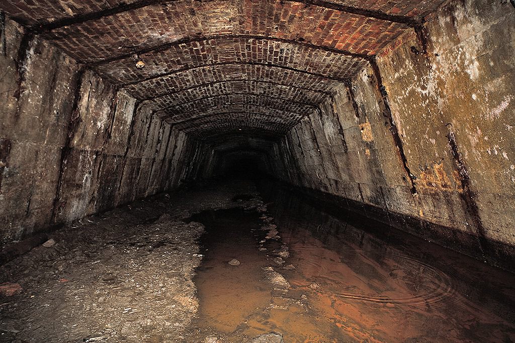 u verlagerung kroete bild u verlagerung kroete bild