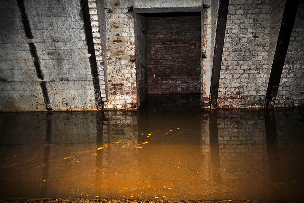 u verlagerung kroete bild u verlagerung kroete bild