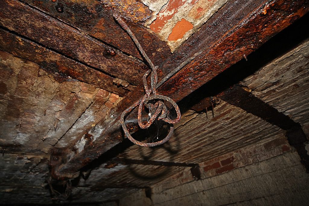 u verlagerung kroete bild u verlagerung kroete bild