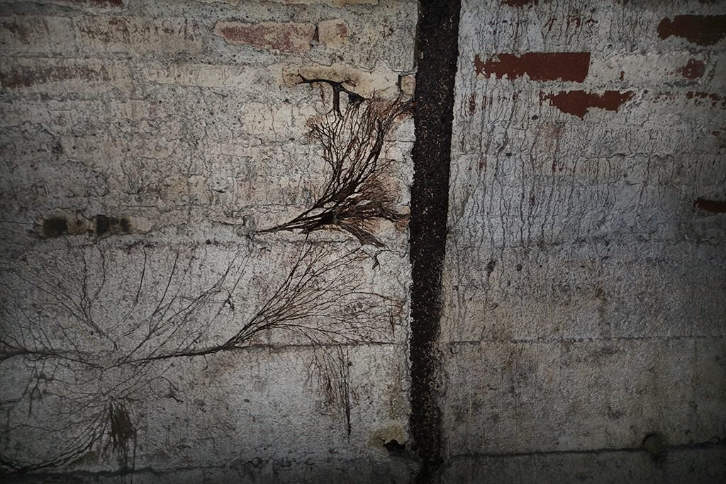 u verlagerung kroete bild u verlagerung kroete bild