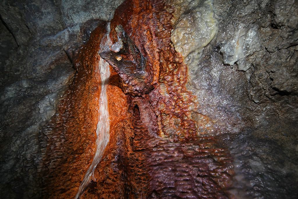 u verlagerung kroete bild u verlagerung kroete bild