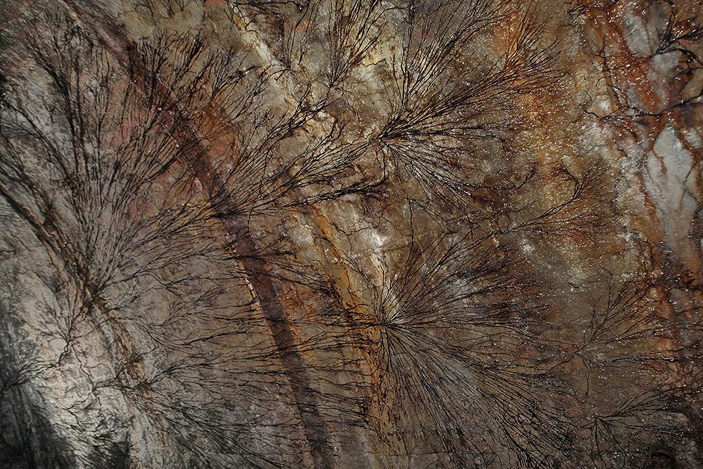 u verlagerung kroete bild u verlagerung kroete bild