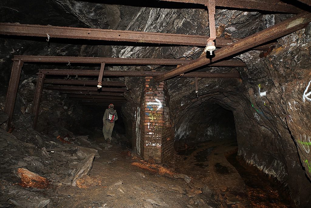 u verlagerung kroete bild u verlagerung kroete bild