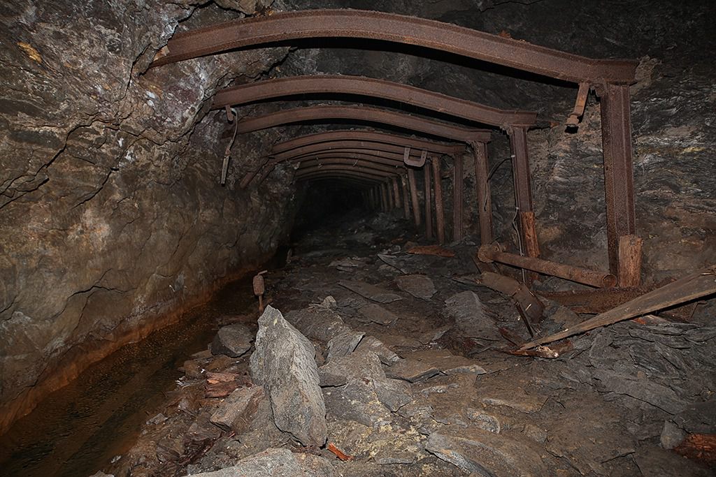 u verlagerung kroete bild u verlagerung kroete bild