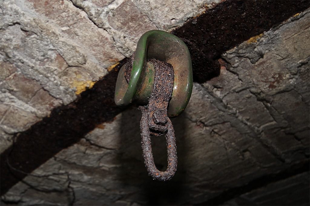 u verlagerung kroete bild u verlagerung kroete bild