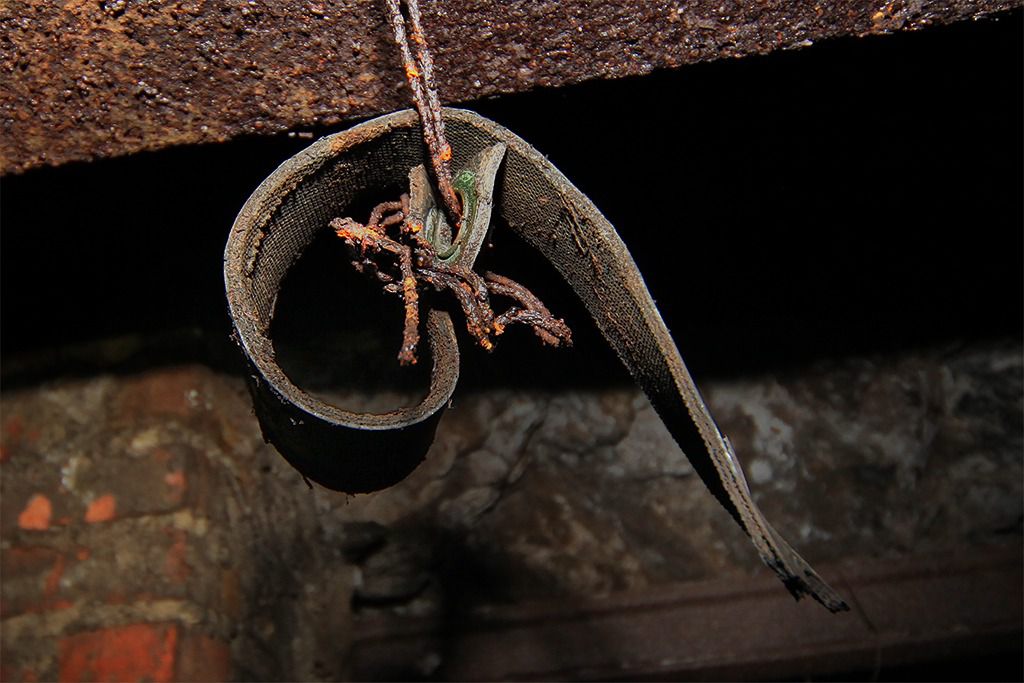 u verlagerung kroete bild u verlagerung kroete bild