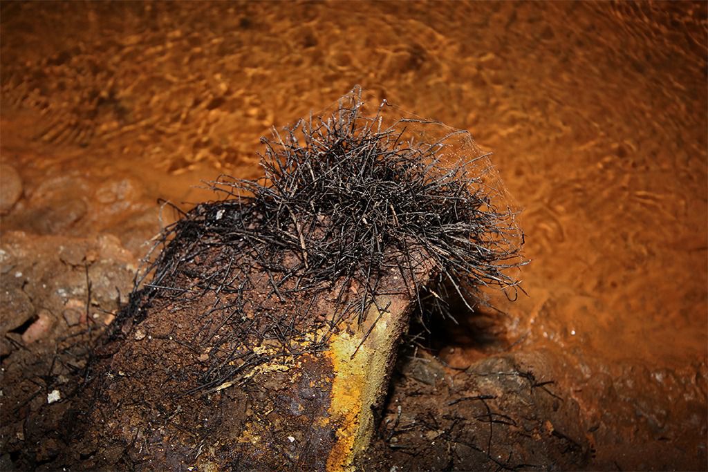 u verlagerung kroete bild u verlagerung kroete bild