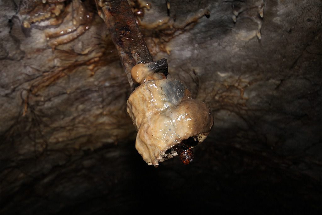 u verlagerung kroete bild u verlagerung kroete bild