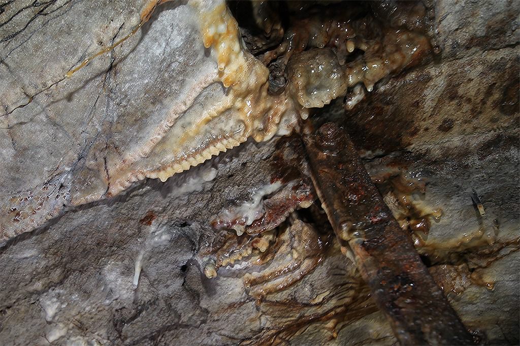 u verlagerung kroete bild u verlagerung kroete bild