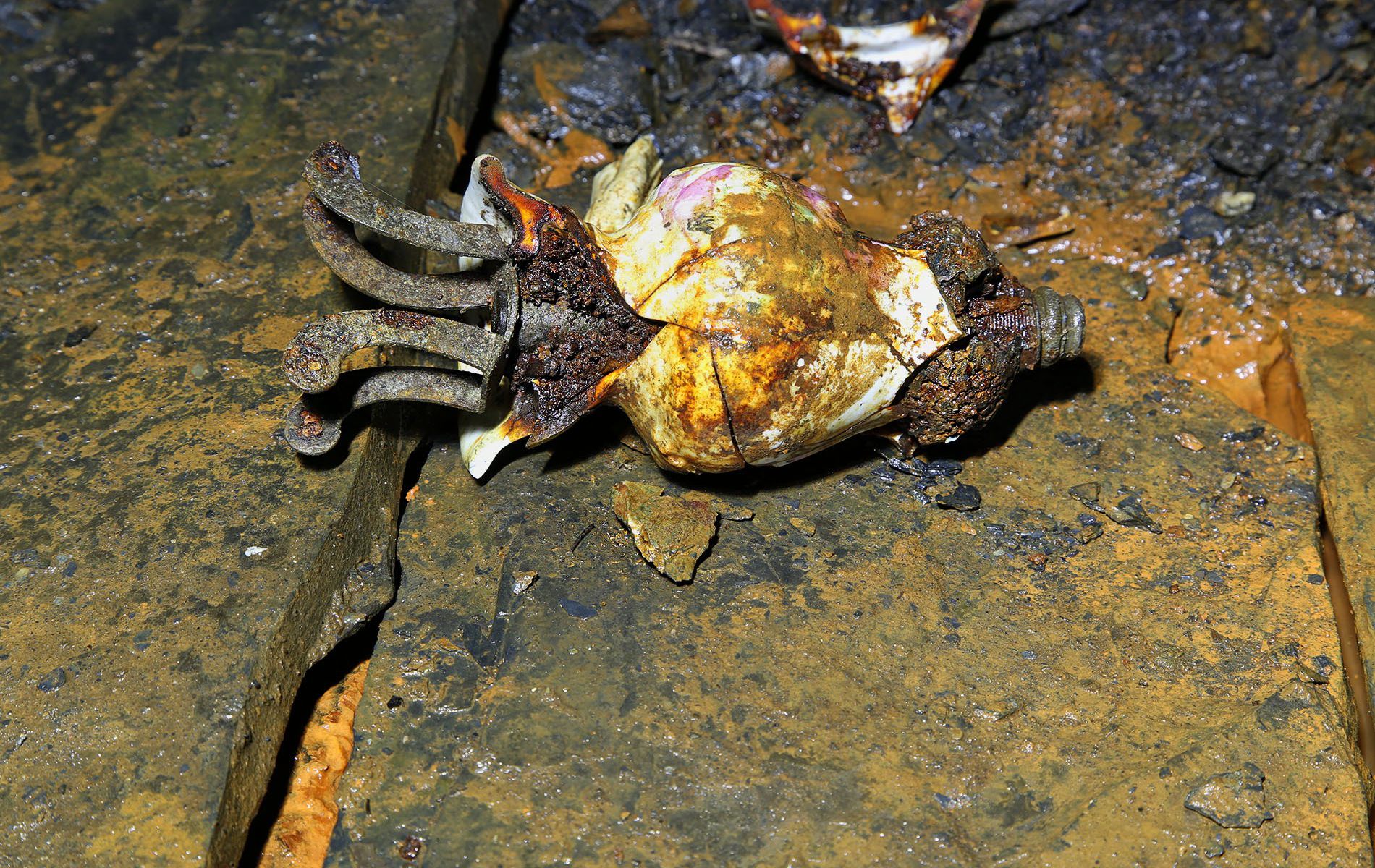 u verlagerung lingula 17 u verlagerung lingula 17