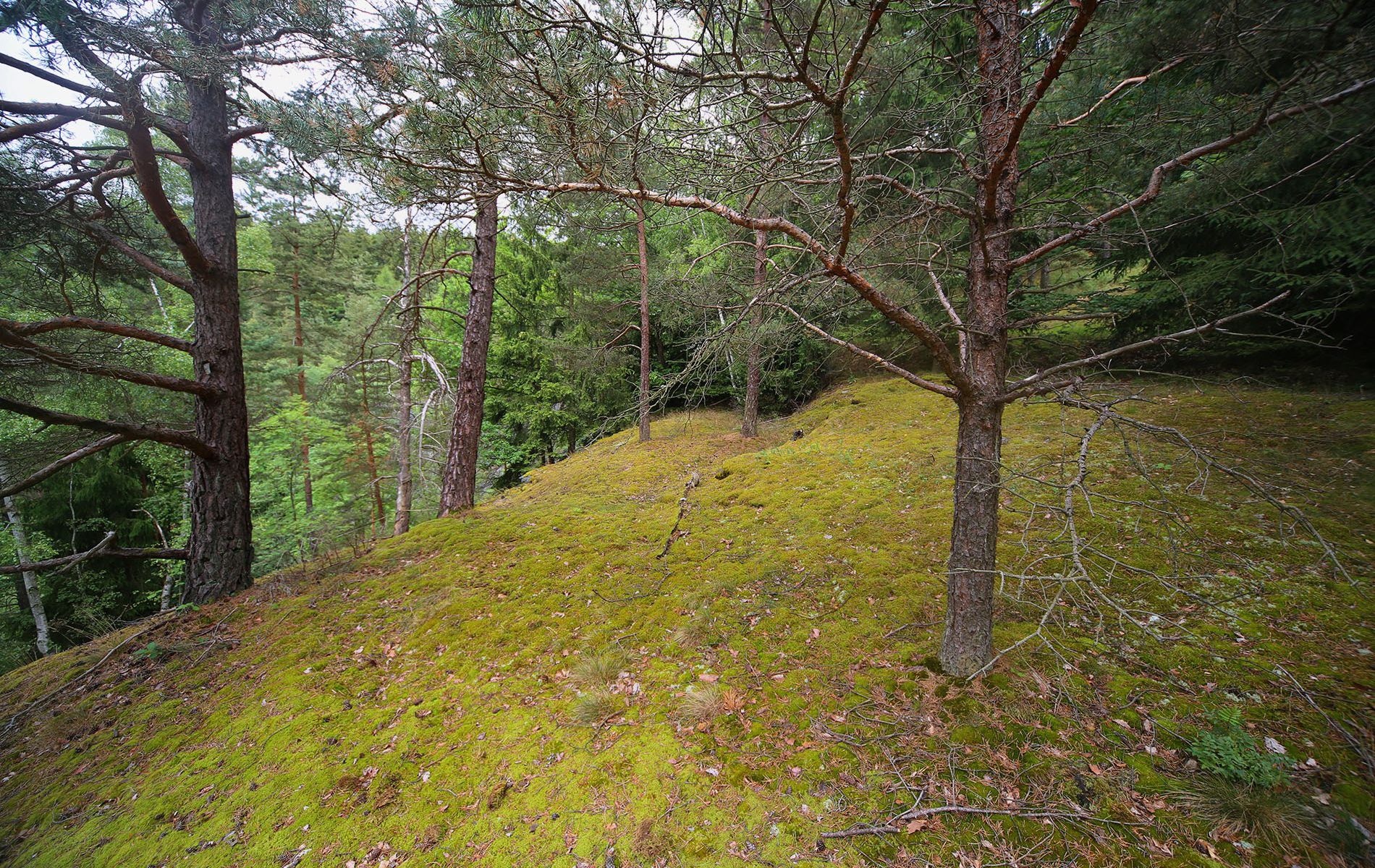 u verlagerung lingula 27 u verlagerung lingula 27