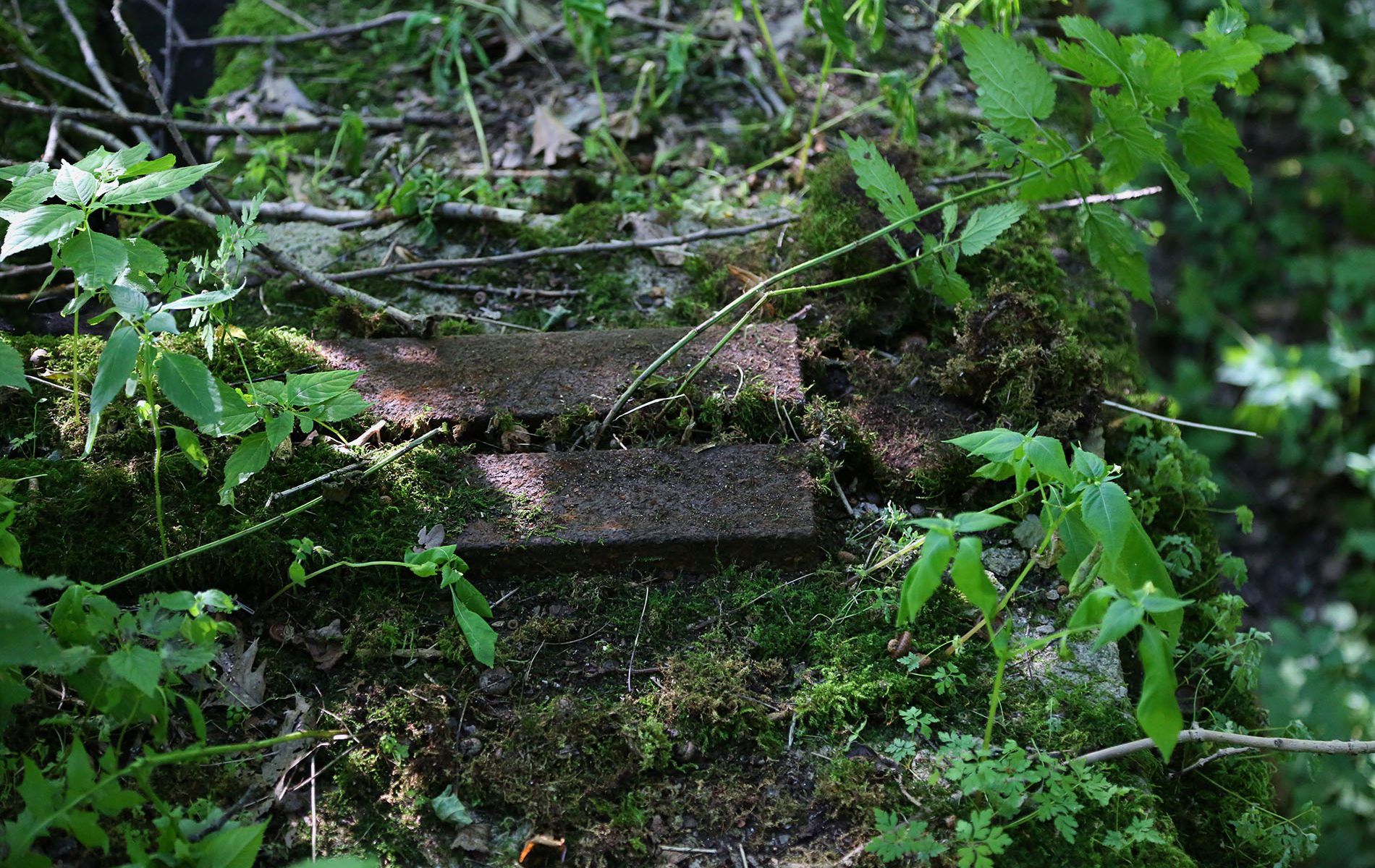 u verlagerung mondstein