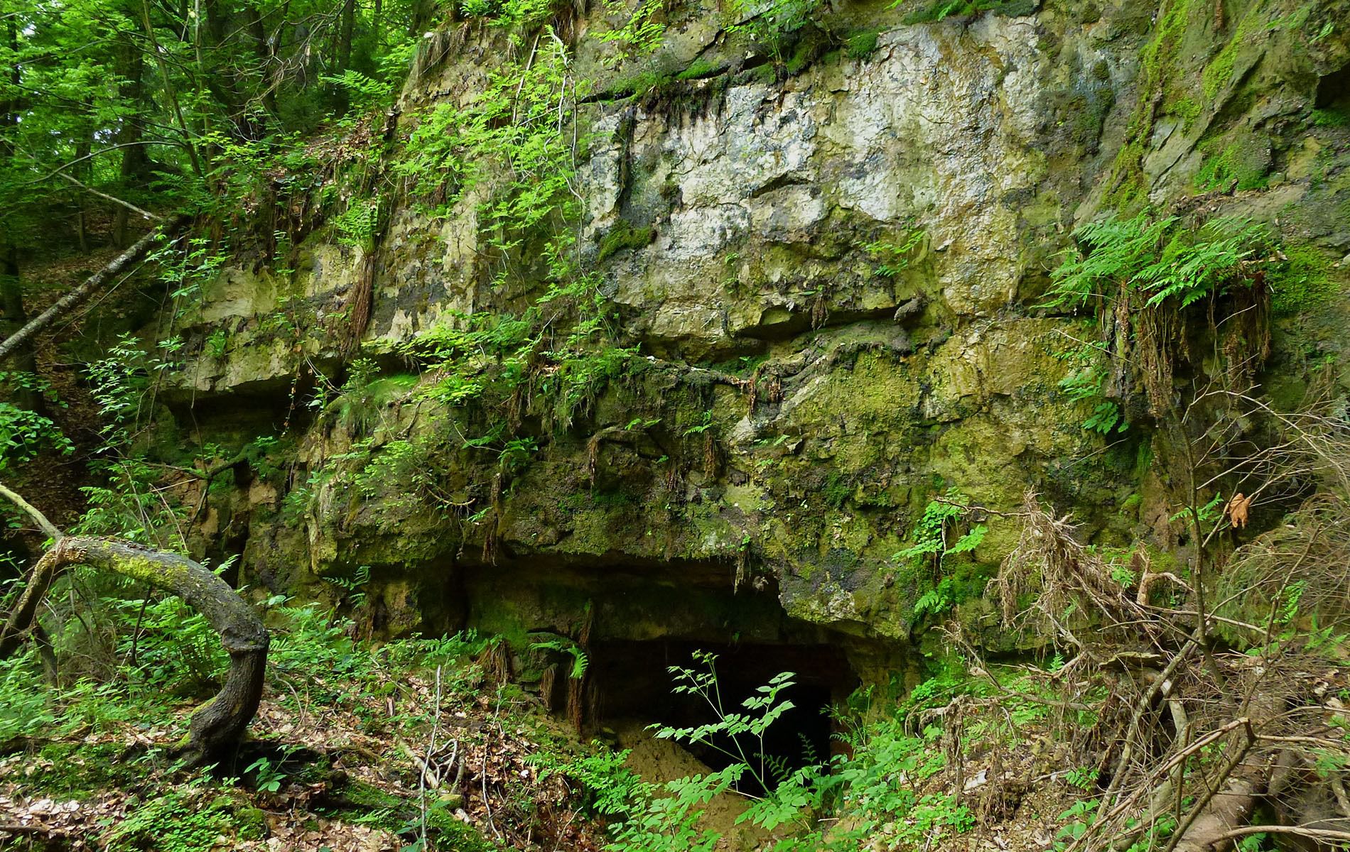 u verlagerung mondstein