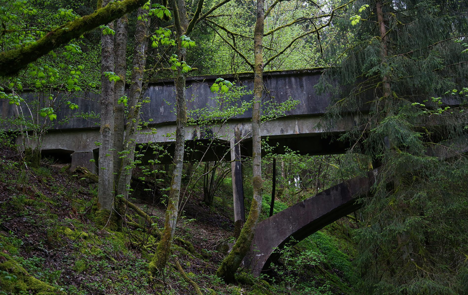 u verlagerung taucher