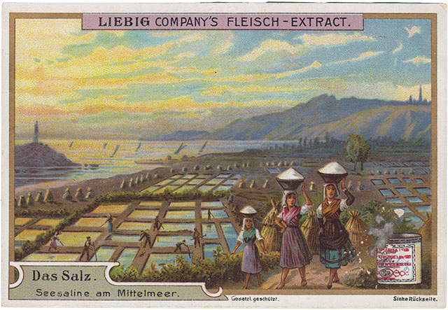 Liebig: Das Salz - Seesaline am Meer