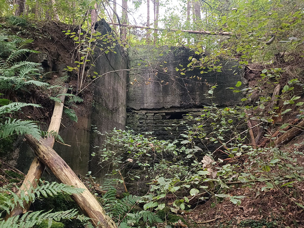 U-Verlagerung Steinbutt