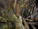 Griefner Stolln und sein feinster Altbergbau