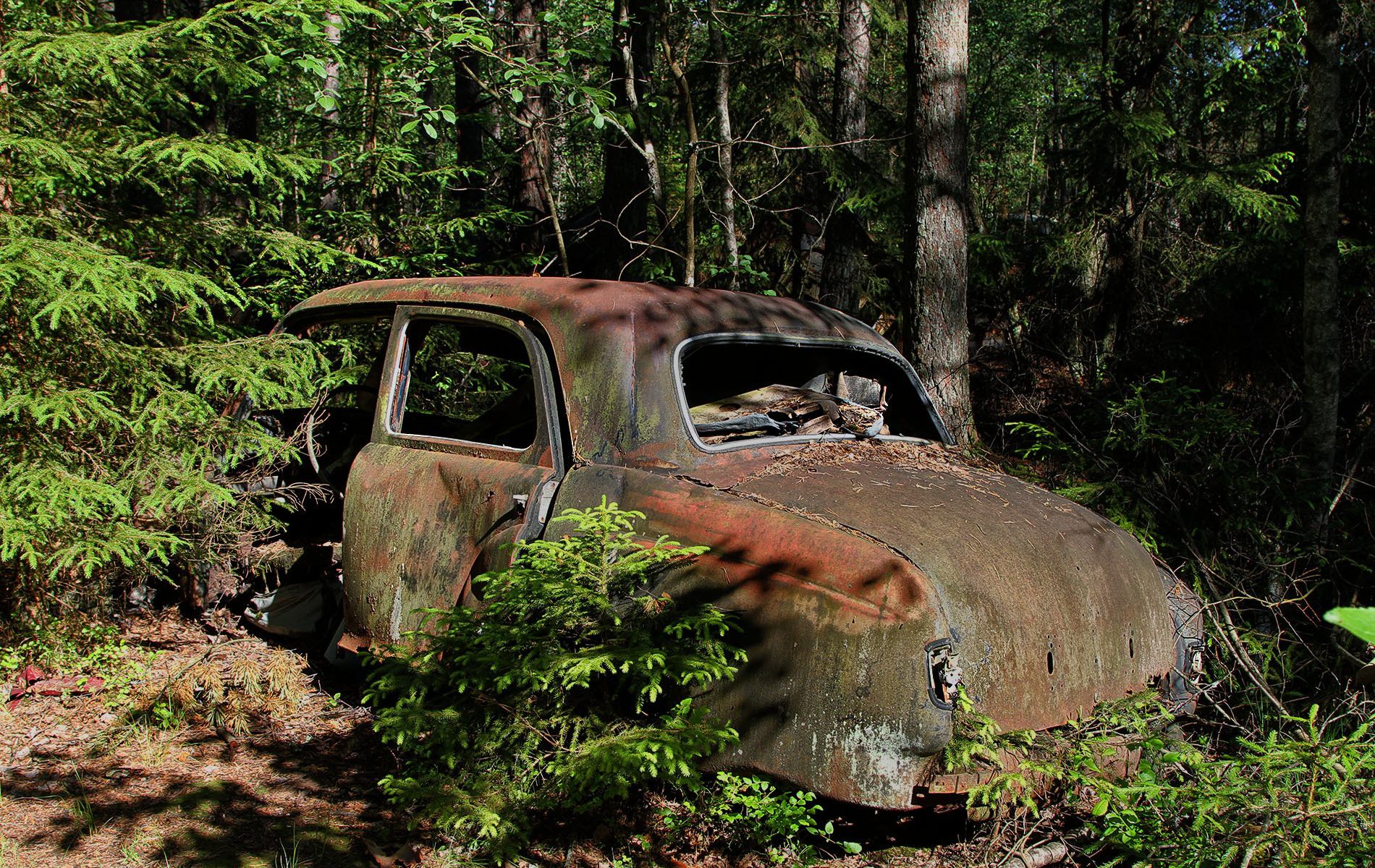 danielssons autofriedhof cars and vehicle graveyards