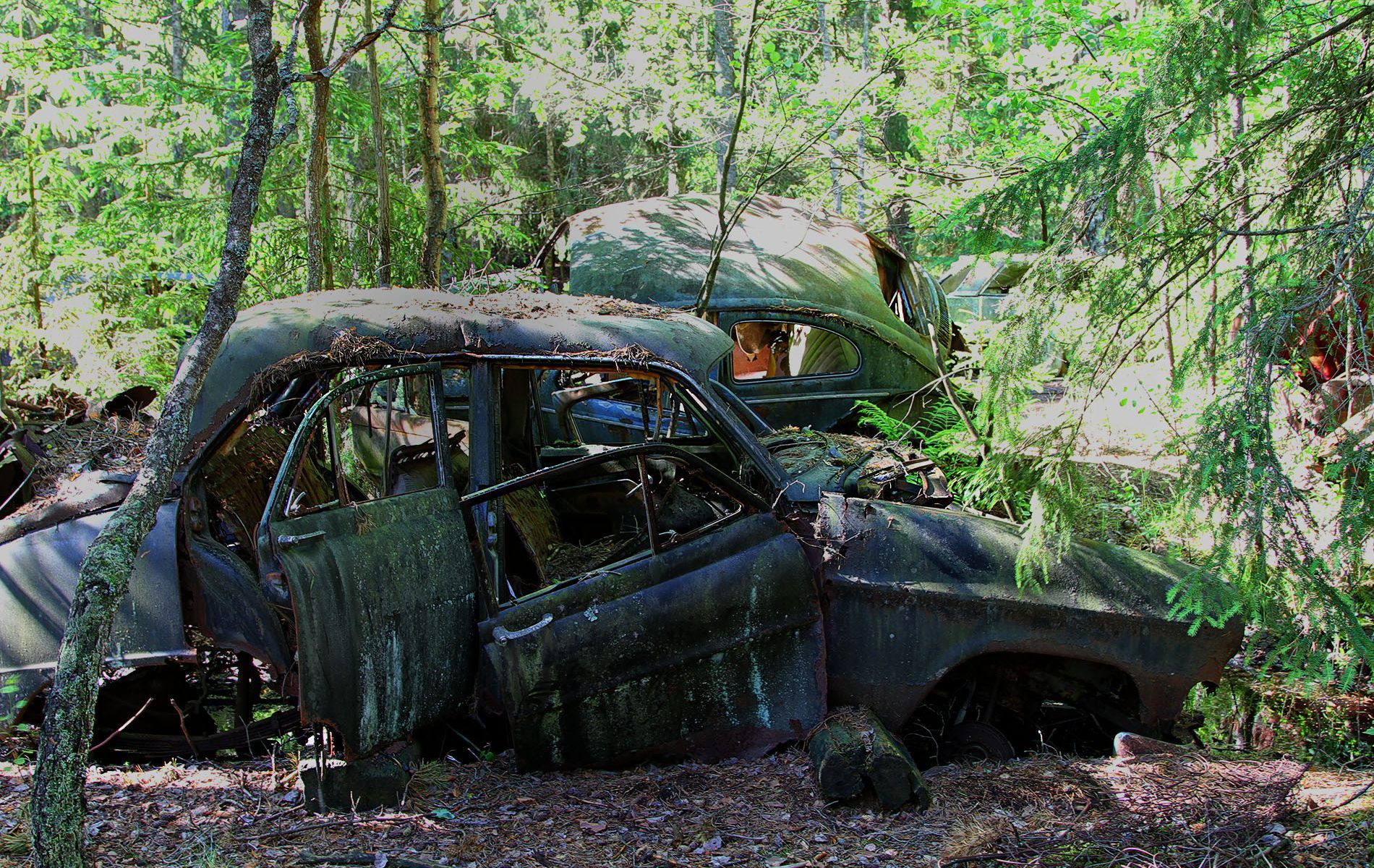 danielssons autofriedhof cars and vehicle graveyards