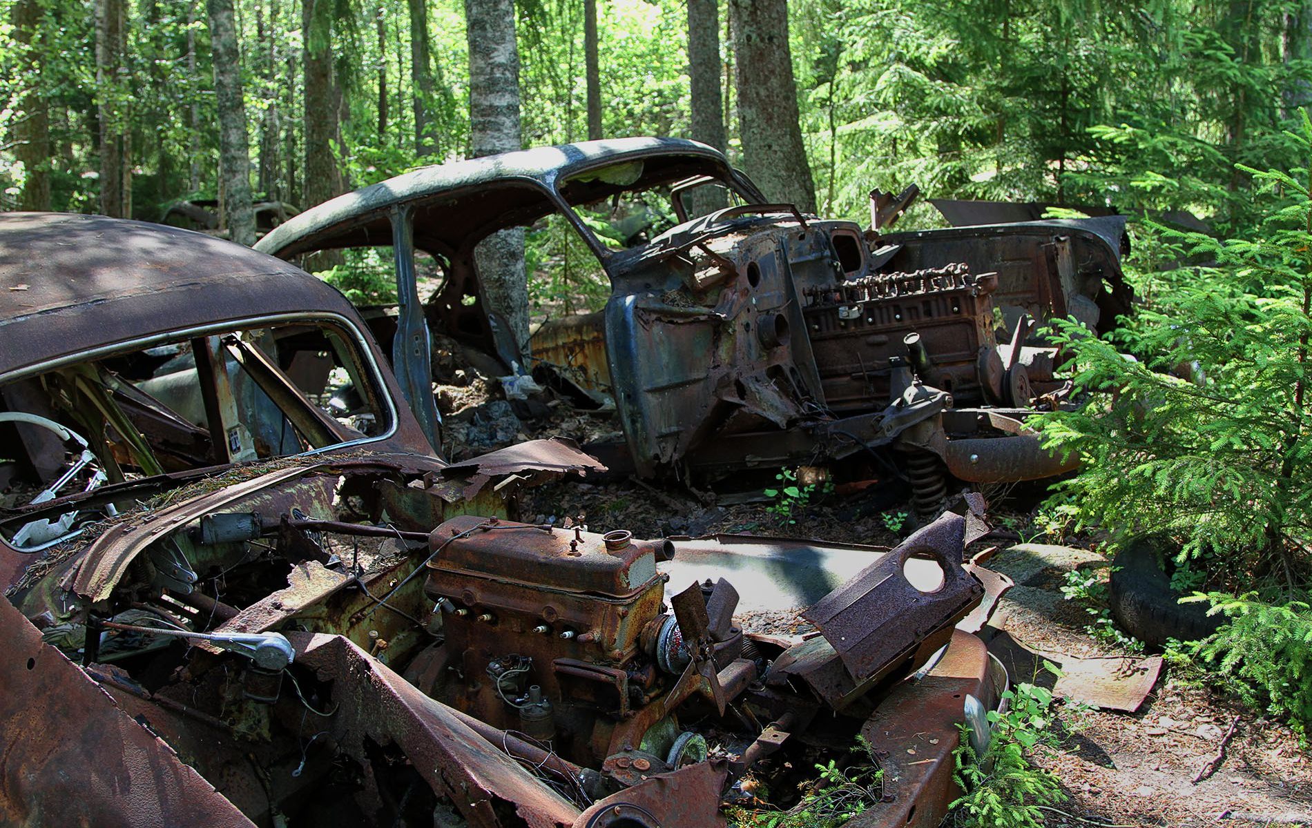 danielssons autofriedhof cars and vehicle graveyards
