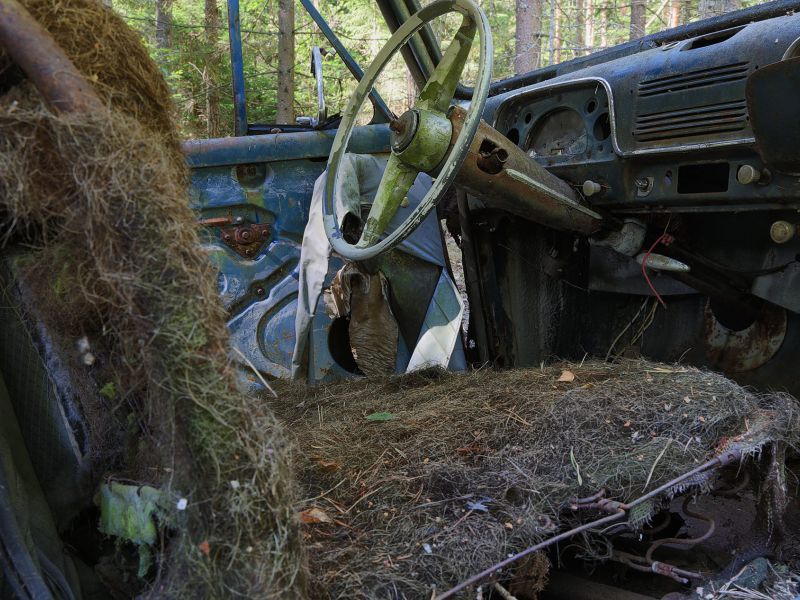 danielssons autofriedhof cars and vehicle graveyards