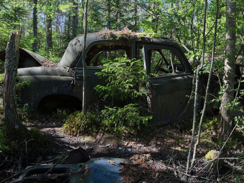 danielssons autofriedhof cars and vehicle graveyards