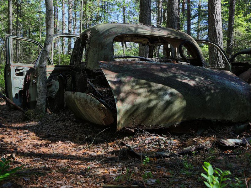 danielssons autofriedhof cars and vehicle graveyards