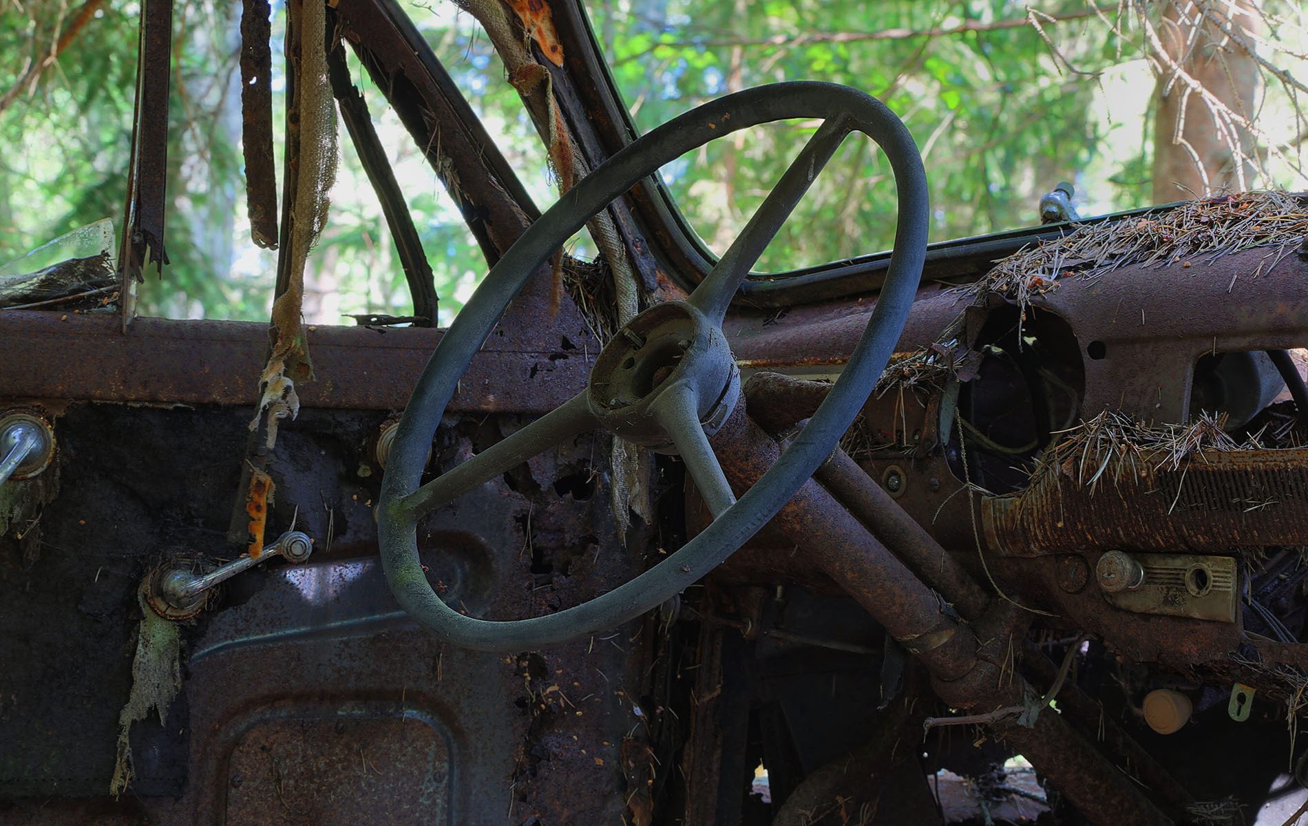 danielssons autofriedhof cars and vehicle graveyards
