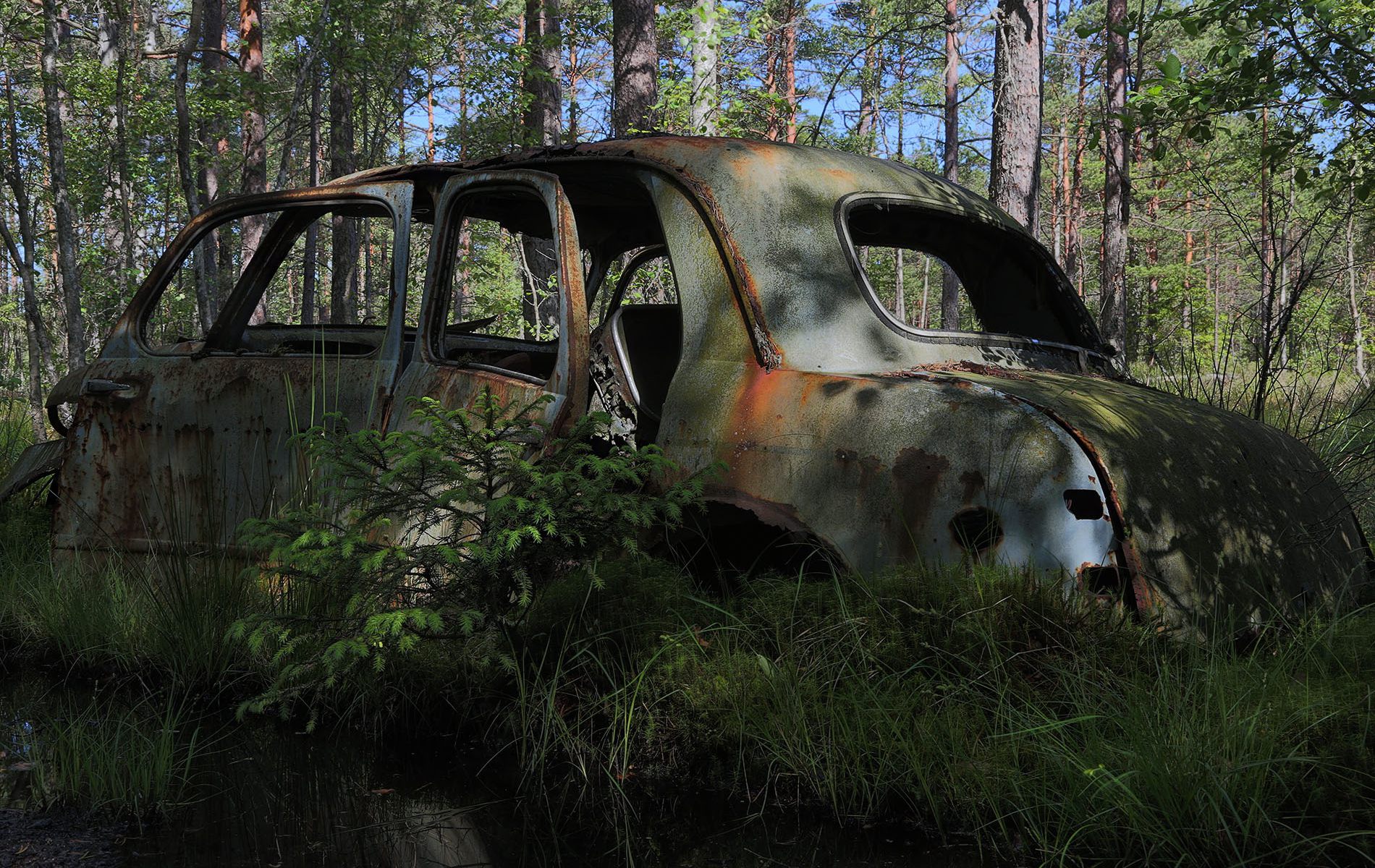 danielssons autofriedhof cars and vehicle graveyards