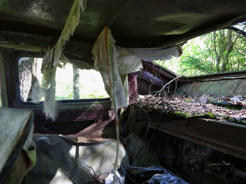 danielssons autofriedhof cars and vehicle graveyards