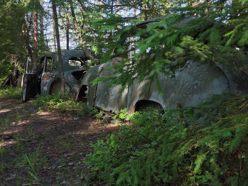 danielssons autofriedhof cars and vehicle graveyards