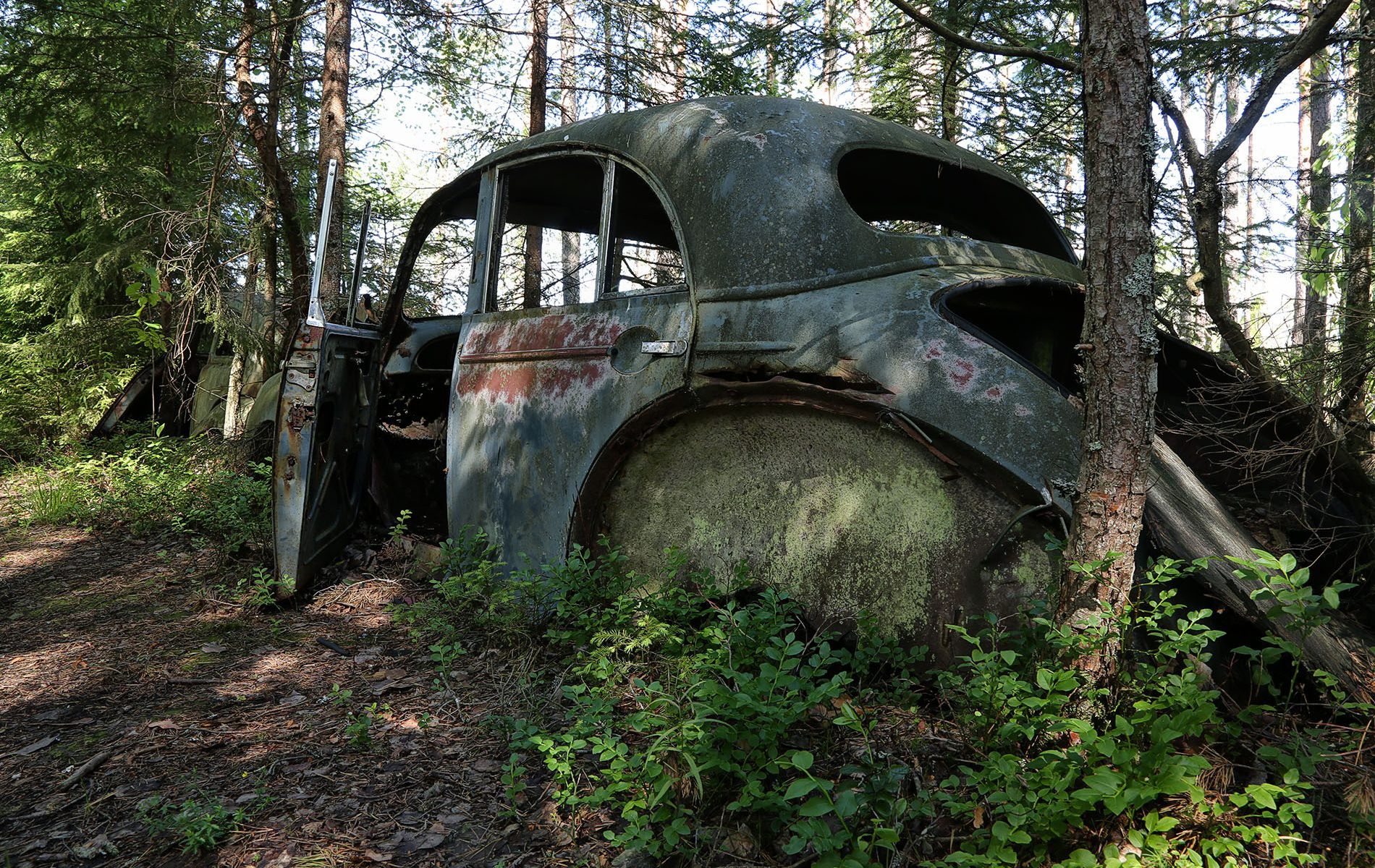 danielssons autofriedhof cars and vehicle graveyards