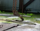 baelsjoeverket
