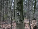 altbergbau am hueggel