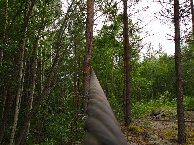 bloetberg ore field