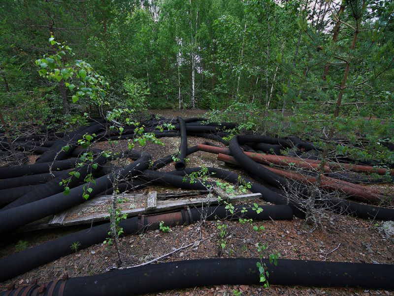 bloetberg ore field