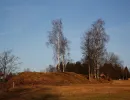fundgrube wolfgangmassen 01