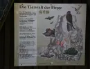 geyersche binge 11