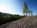 altbergbau graengesberg gruvor field