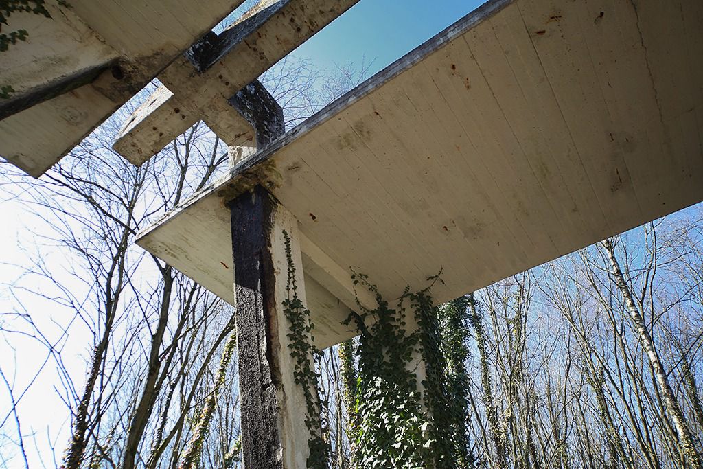 kalksteinbruch grube 7 foto 28