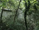 gruba ada berlitzturm 11