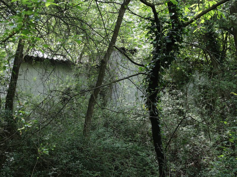 gruba ada berlitzturm 11