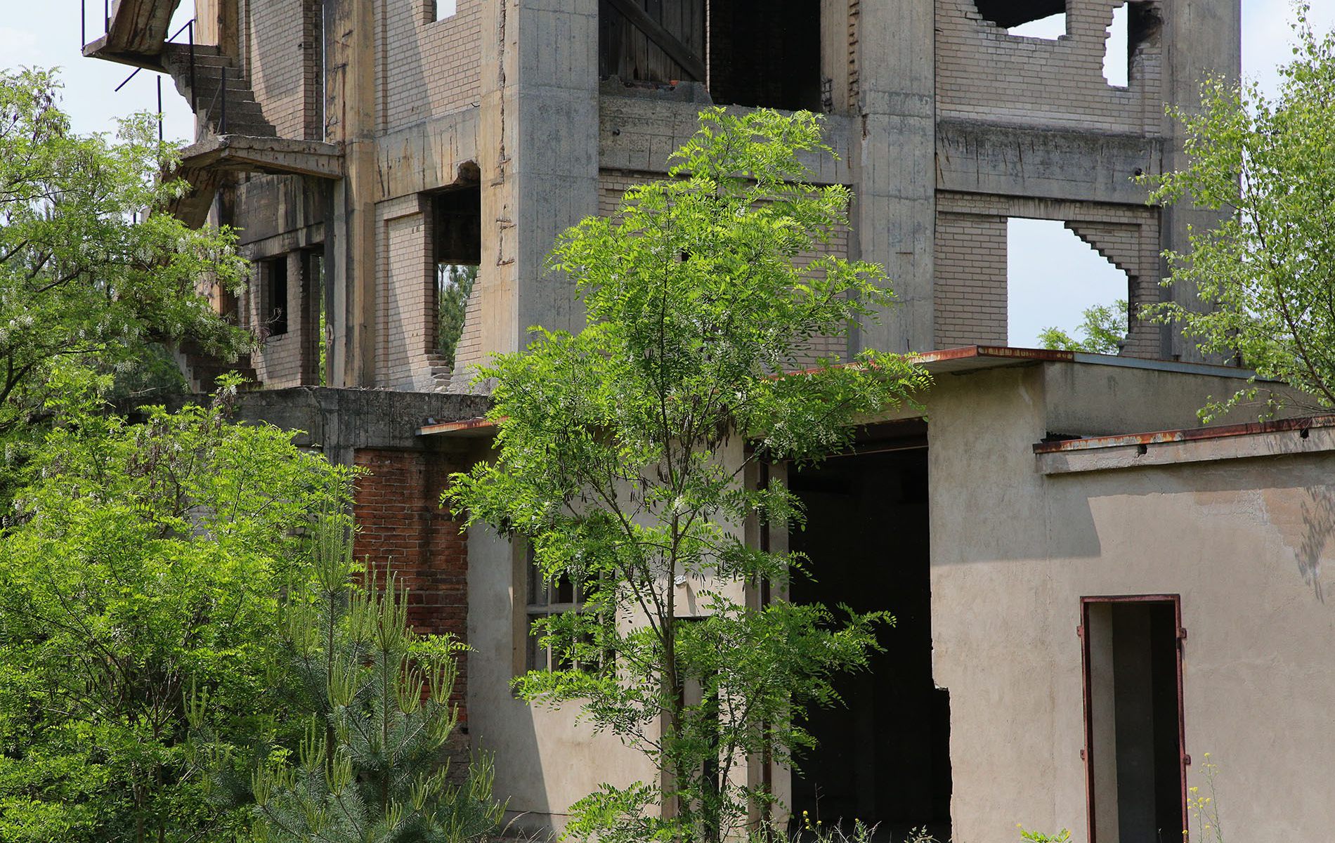 gruba ada berlitzturm 16